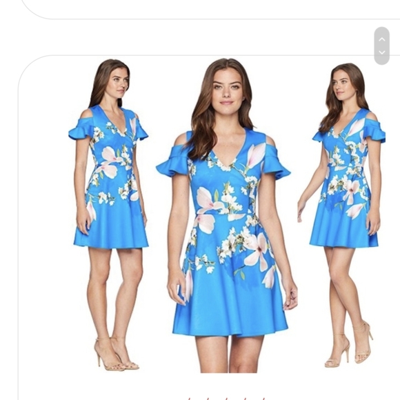 Ted Baker dress NWT